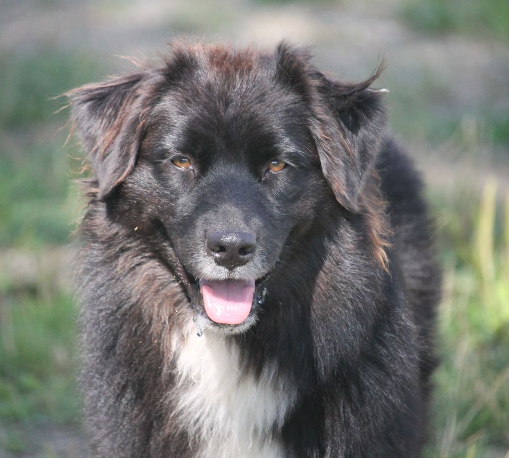 Ultimate hope of Cree's River